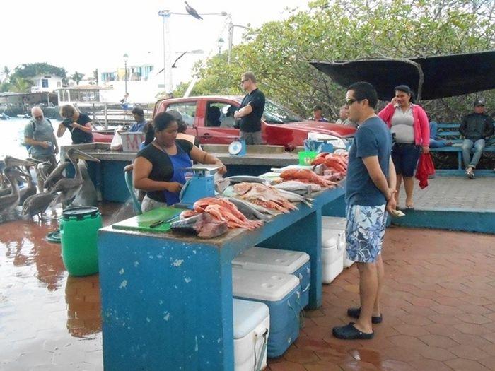 Fischmarkt auf der Insel Santa