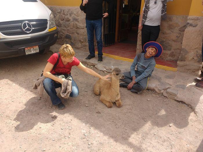 Anja streichelt eine Baby Lama
