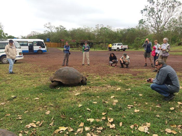 Besuch einer Schildkrötenfarm 