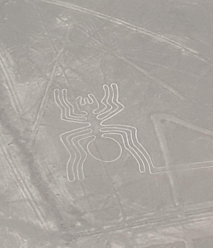 Der Flug über die Nazca-Linien