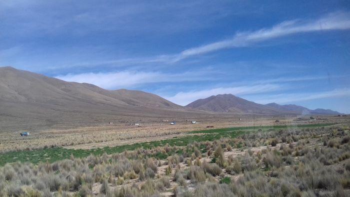 Wir fahren am Altiplano entlan