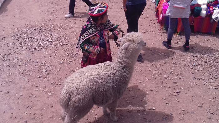 Von Puno nach Cusco. La Raya P
