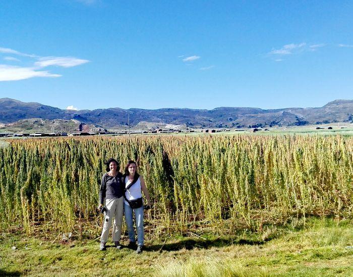 Wir fahren an Quinoa Plantagen