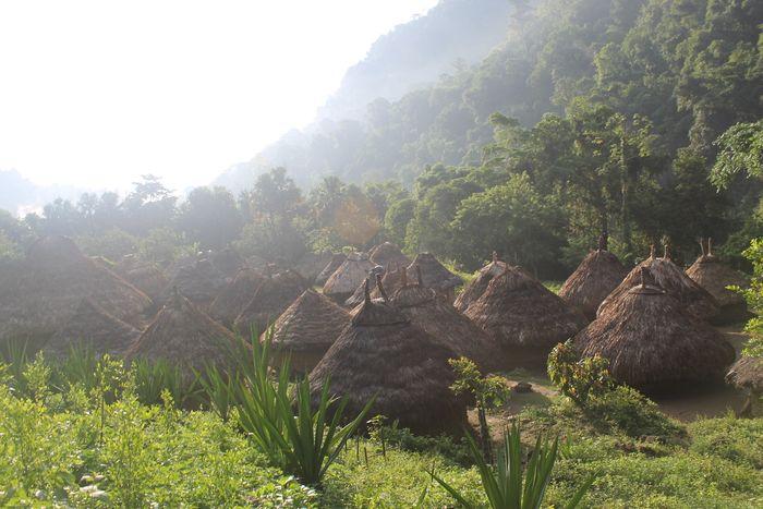 Die Koguis bauen "Dörfer" nur 