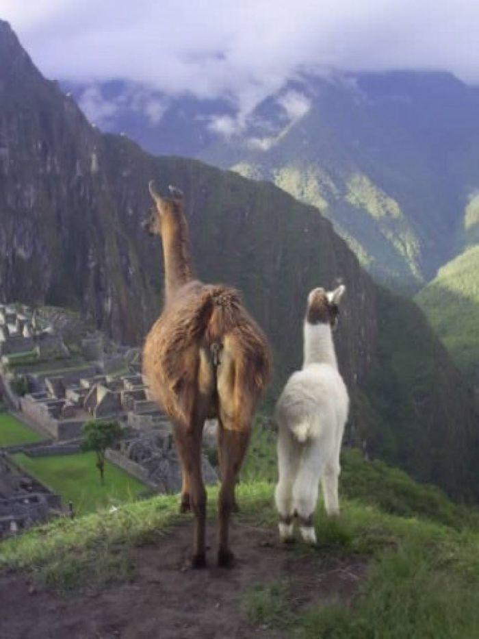 Mutter und Kind am Machu Picchu
