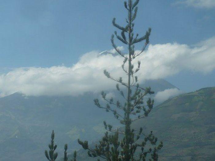 Vulkan Tungurahua
