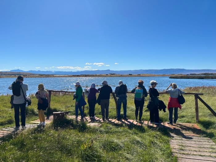 Calafate