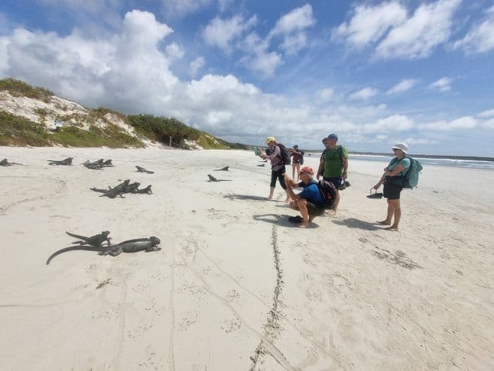 Tortuga bay
