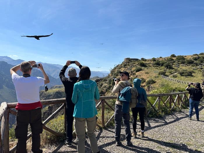 Colca Canyon ausflug