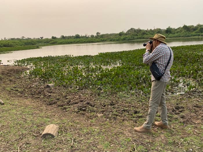 Pantanal