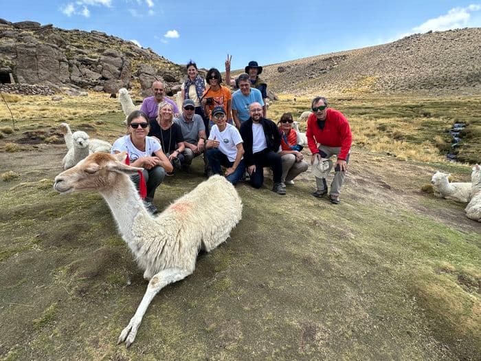 Les andes