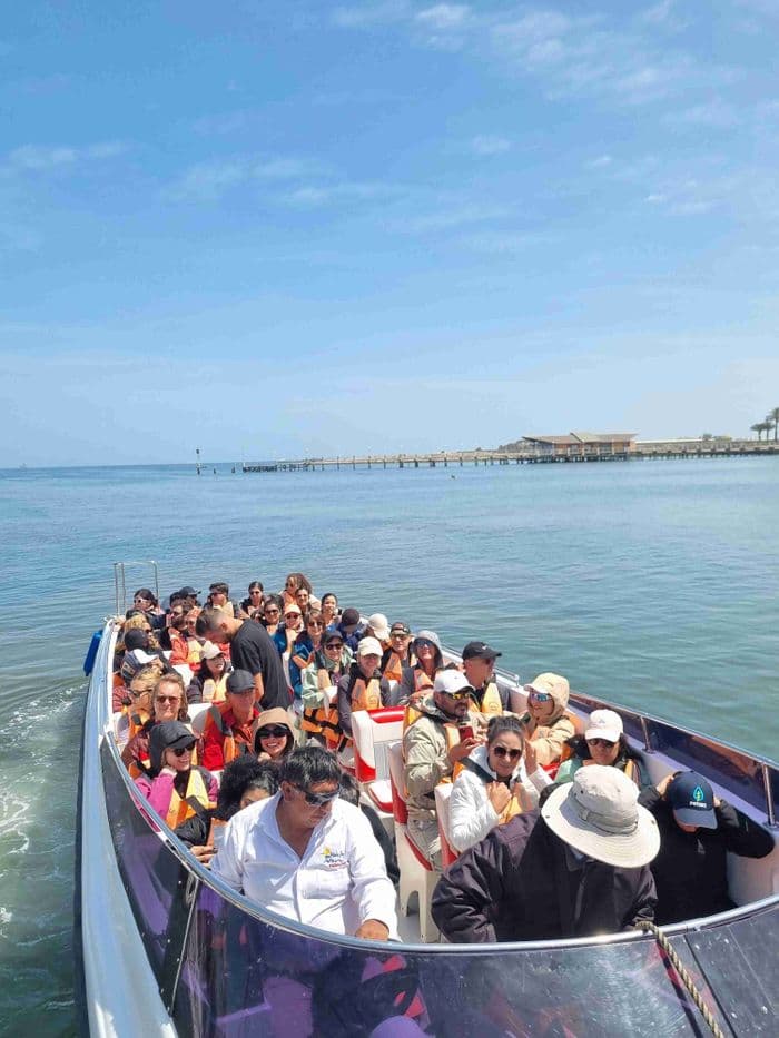 Paracas